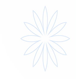 皇冠搏彩官方入口 - 官方服务体系